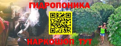 эйфоретик Анжеро-Судженск