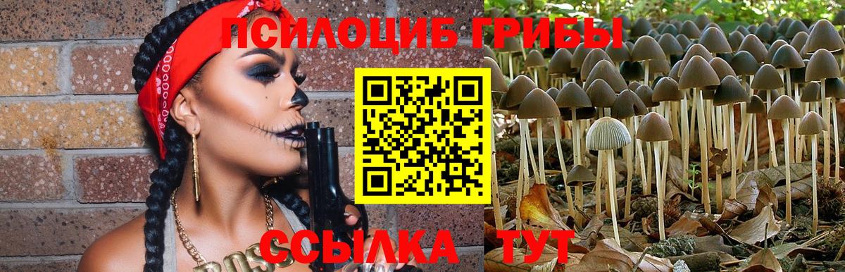 Галлюциногенные грибы Psilocybine cubensis  Вход с VPN  Брянск  Галлюциногенные грибы мицелий 